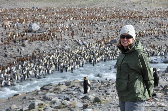 Visita a St Andrews Bay, na Geórgia do Sul, a maior colônia de pinguins rei do mundo, com quase 1 milhão de aves